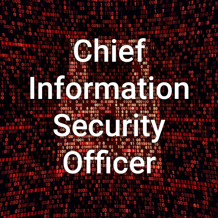 Chief Information Security Officer